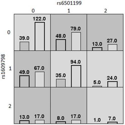 Investigating Gene–Gene and Gene–Environment Interactions in the Association Between Overnutrition and Obesity-Related Phenotypes